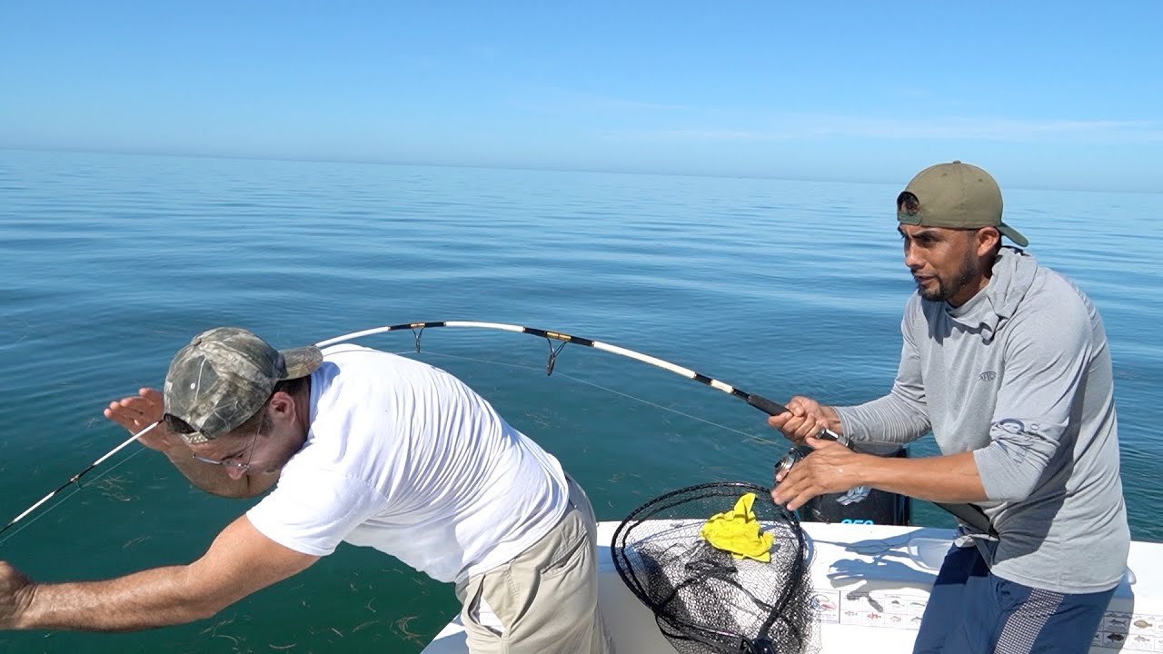 Pesca De Tiburones, Pesca Y cocina