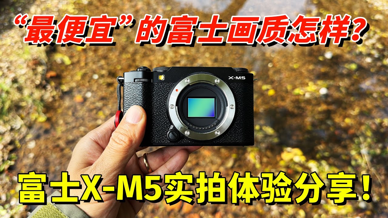 富士X-M5实拍体验：“最便宜”的富士相机画质怎么样？by 极地手记