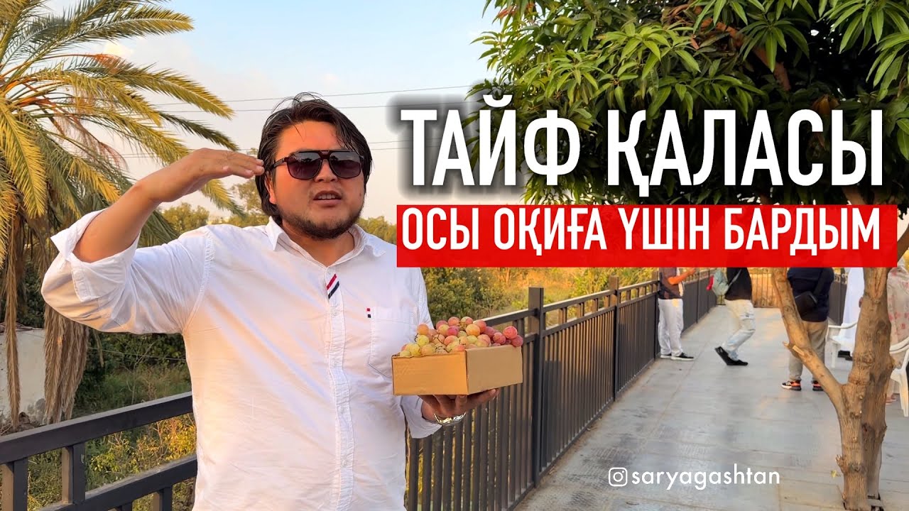 Таудың үстіндегі Тайф қаласына осы оқиға үшін бардым. 