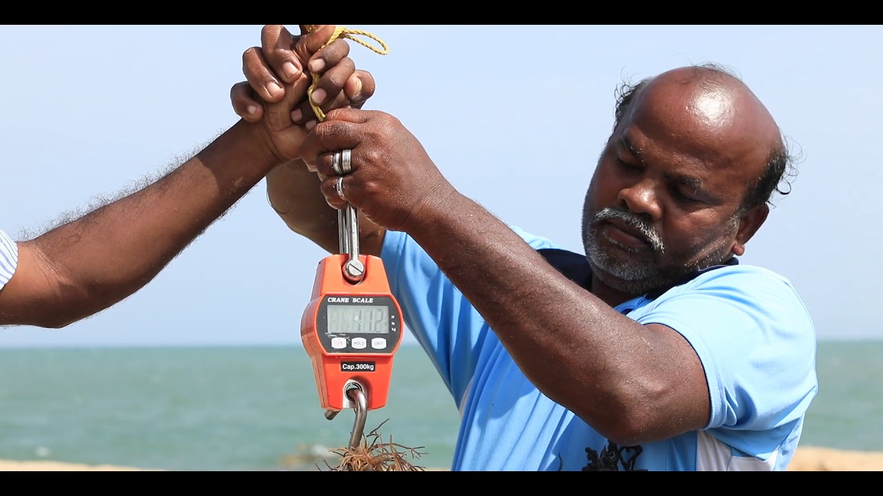 CSIR LIQUID FERTILIZER & VALUE ADDED PRODUCTS