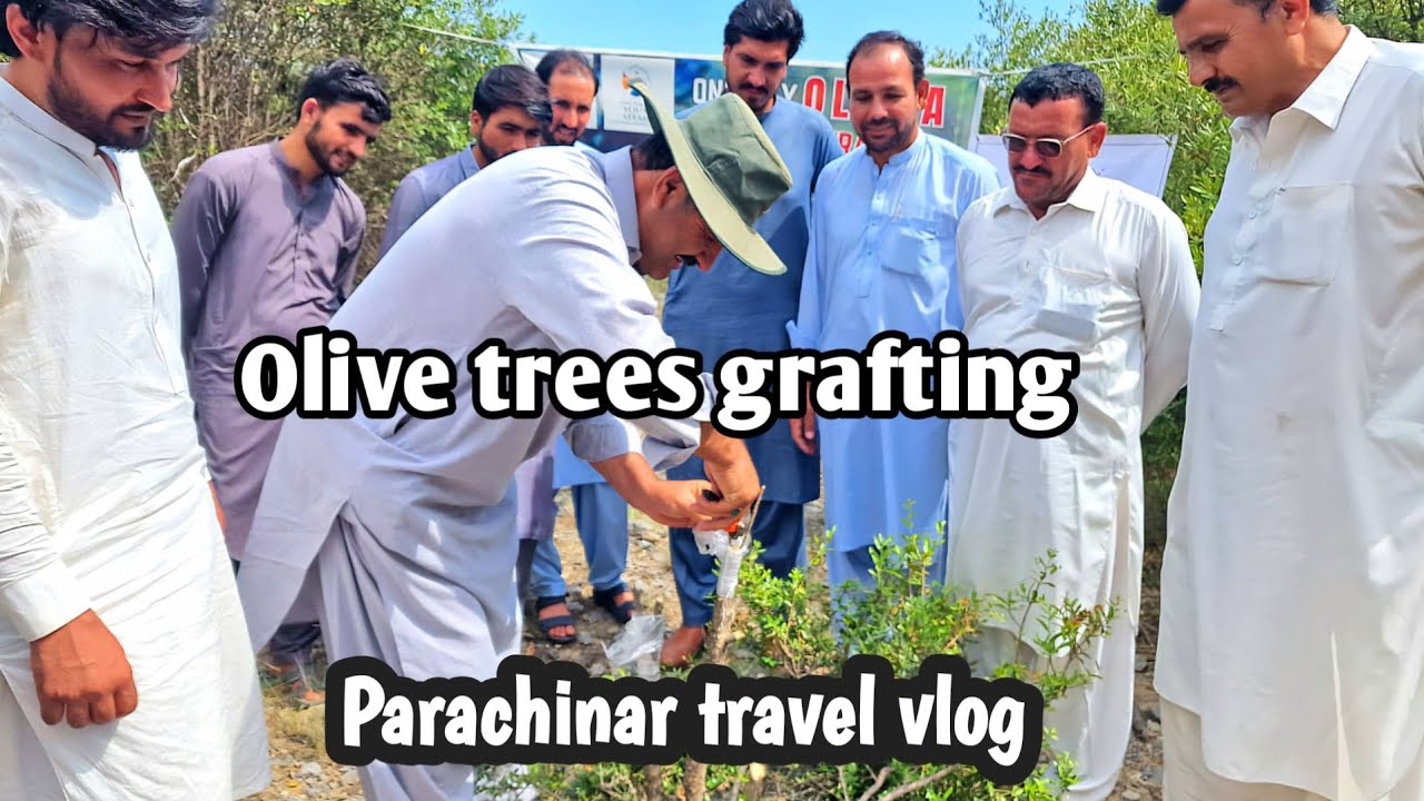 Parachinar and its wealth/ Parachinar travel vlog.