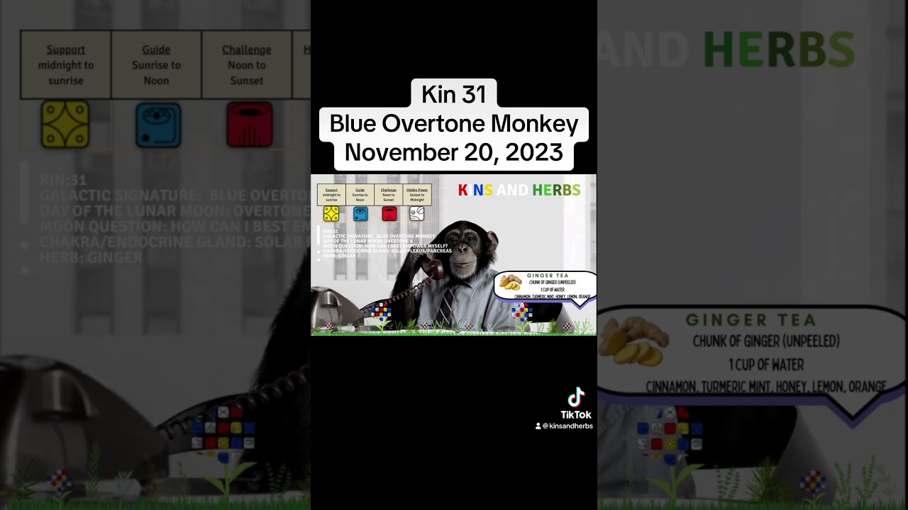 #kin31 #lawoftime #timeisart #tzolkin #tzolkinmaya #144000 #earthangel #1320videos #4thdimension