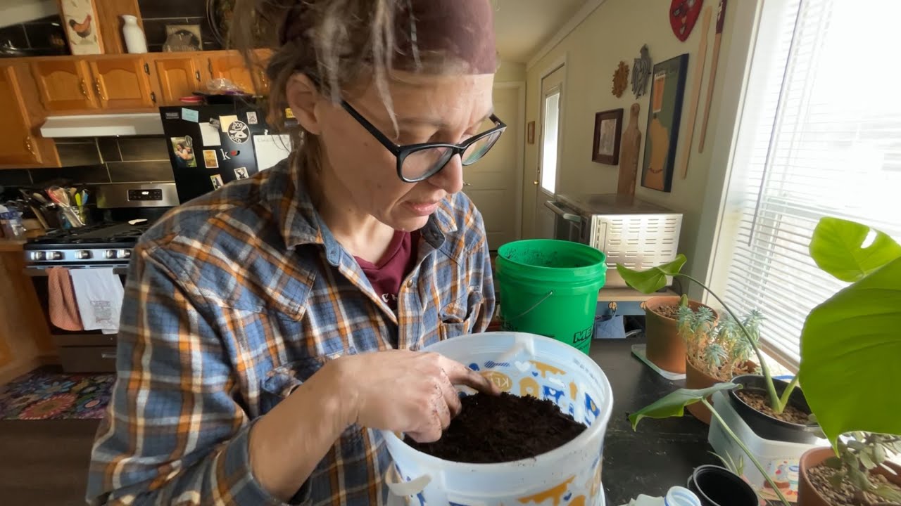 Let’s Grow Something: Lettuce, Jalapeños and Tobacco (oh my!)