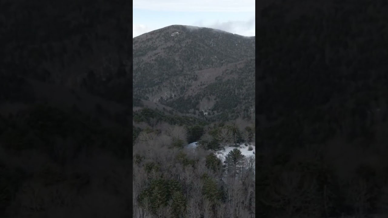 Aspromonte 11 Jan 2025