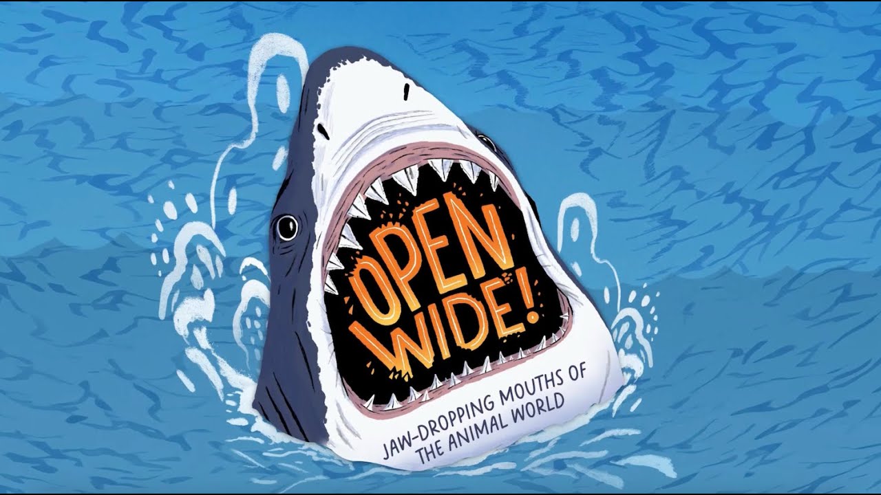 Open Wide! Book Trailer
