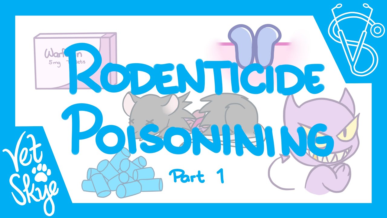Rodenticide Poisoning - Part 1