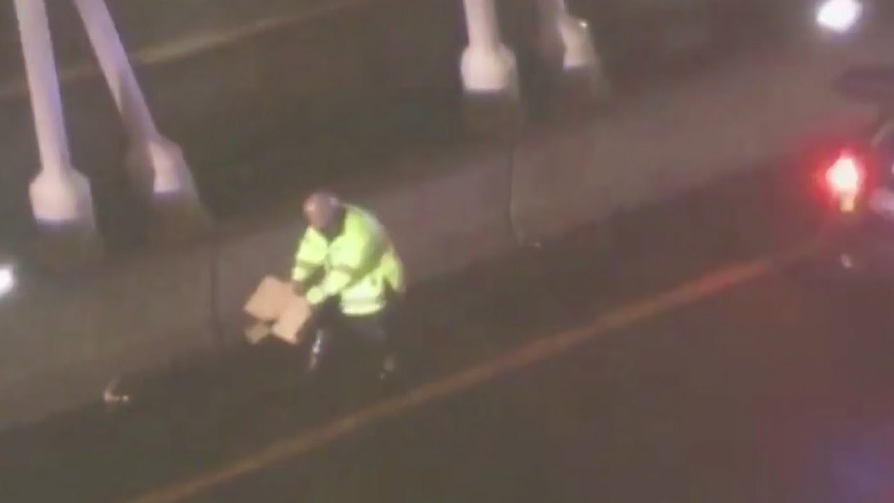 US police officer chases rabbit down road