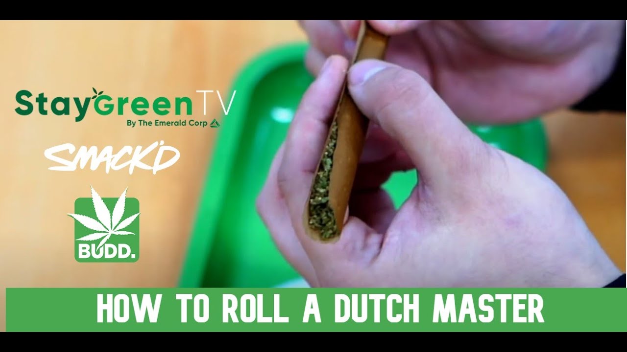How To Roll A Dutch Master - StayGreenTV: Ep.4 - BUDD