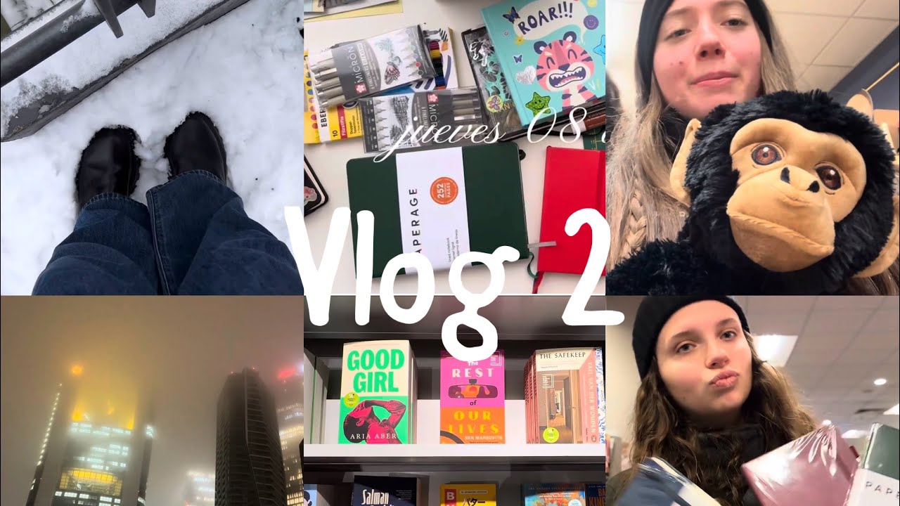 A menos grado 0 pero la nieve hace que valga la pena el invierno / vision board, lectura, journaling