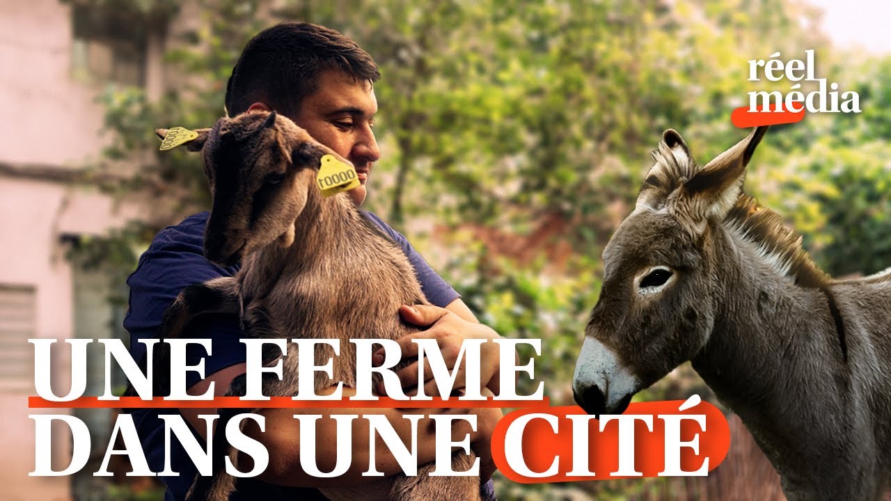 Emre, 18 ans, crée une ferme pédagogique au cœur de son quartier !  🐑