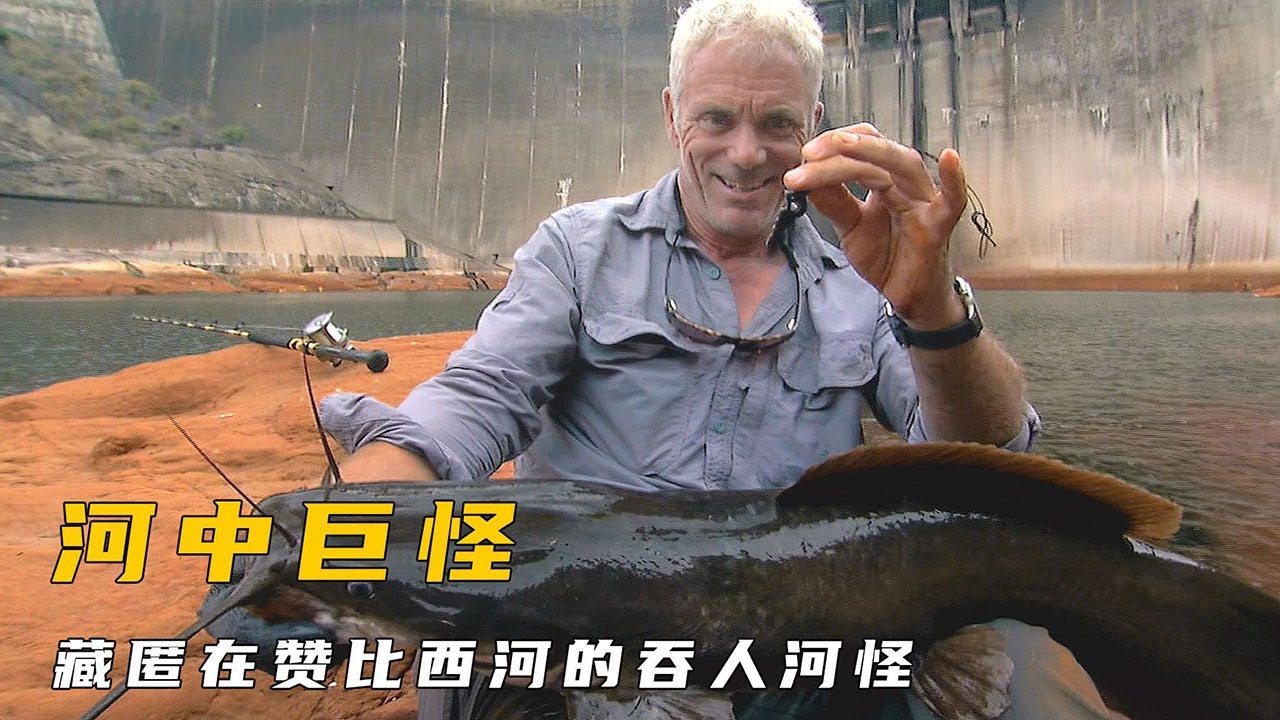 非洲发现吞人巨鲶，杰里米在鳄鱼和河马的面前钓鱼