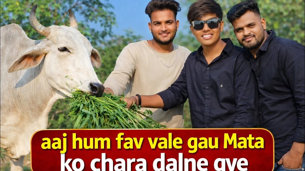 Guys gau Mata ke liye chara lene gaye 😀 !! 