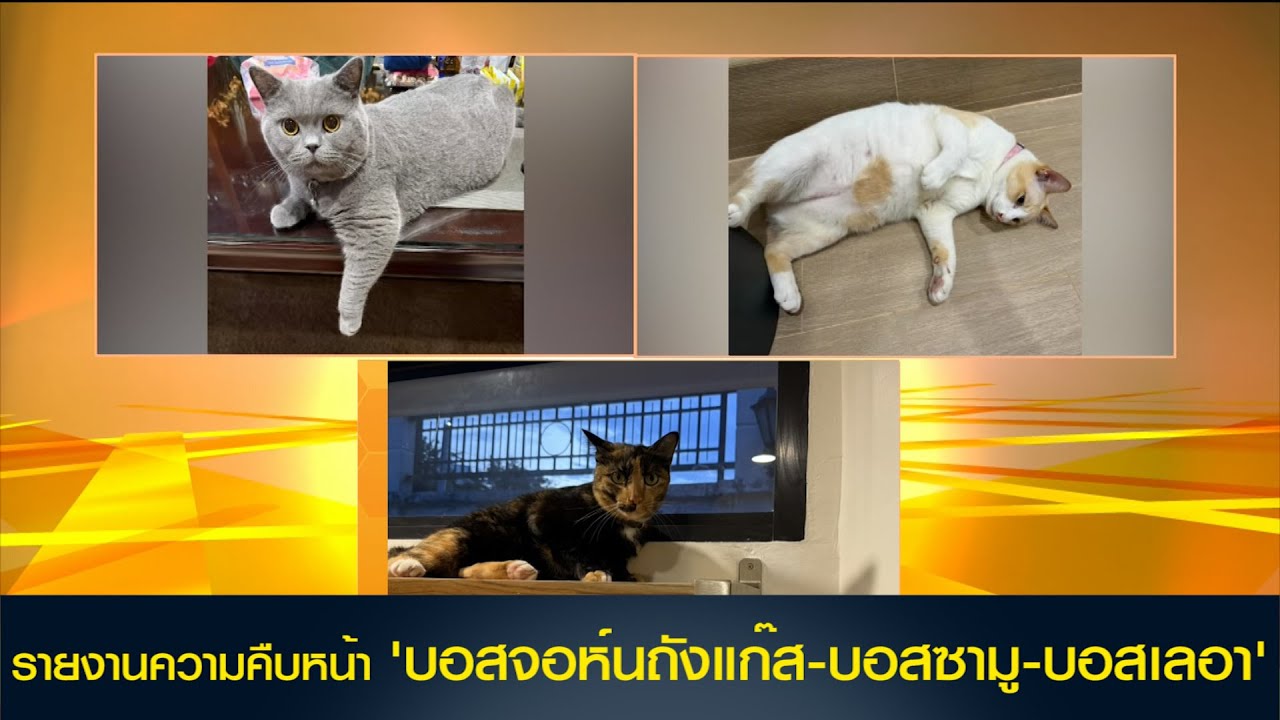 รายงานความคืบหน้า 'บอสจอห์นถังแก๊ส-บอสซามู-บอสเลอา'