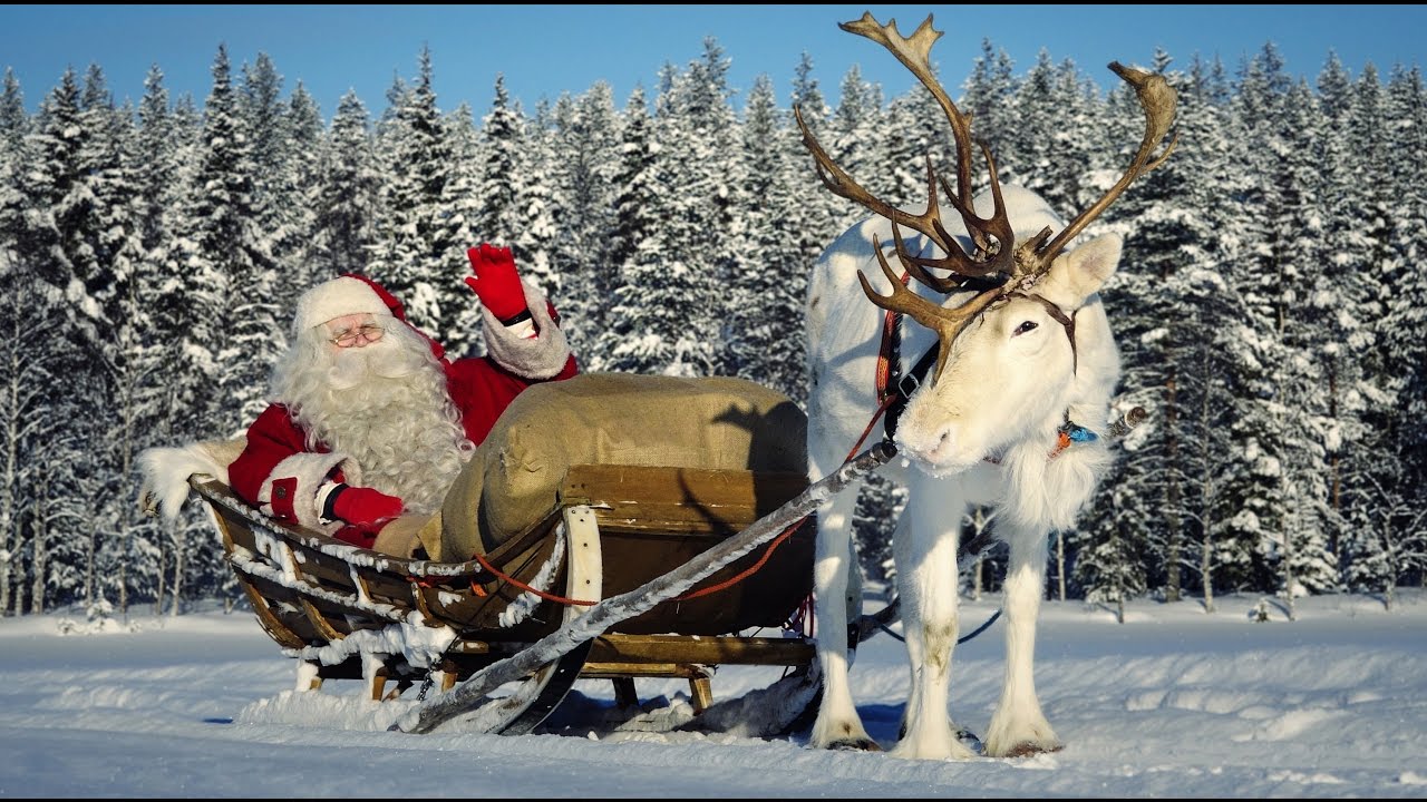 Intervista: Babbo Natale e renne 🦌🎅 Lapponia Finlandia Santa Claus Pello Rovaniemi