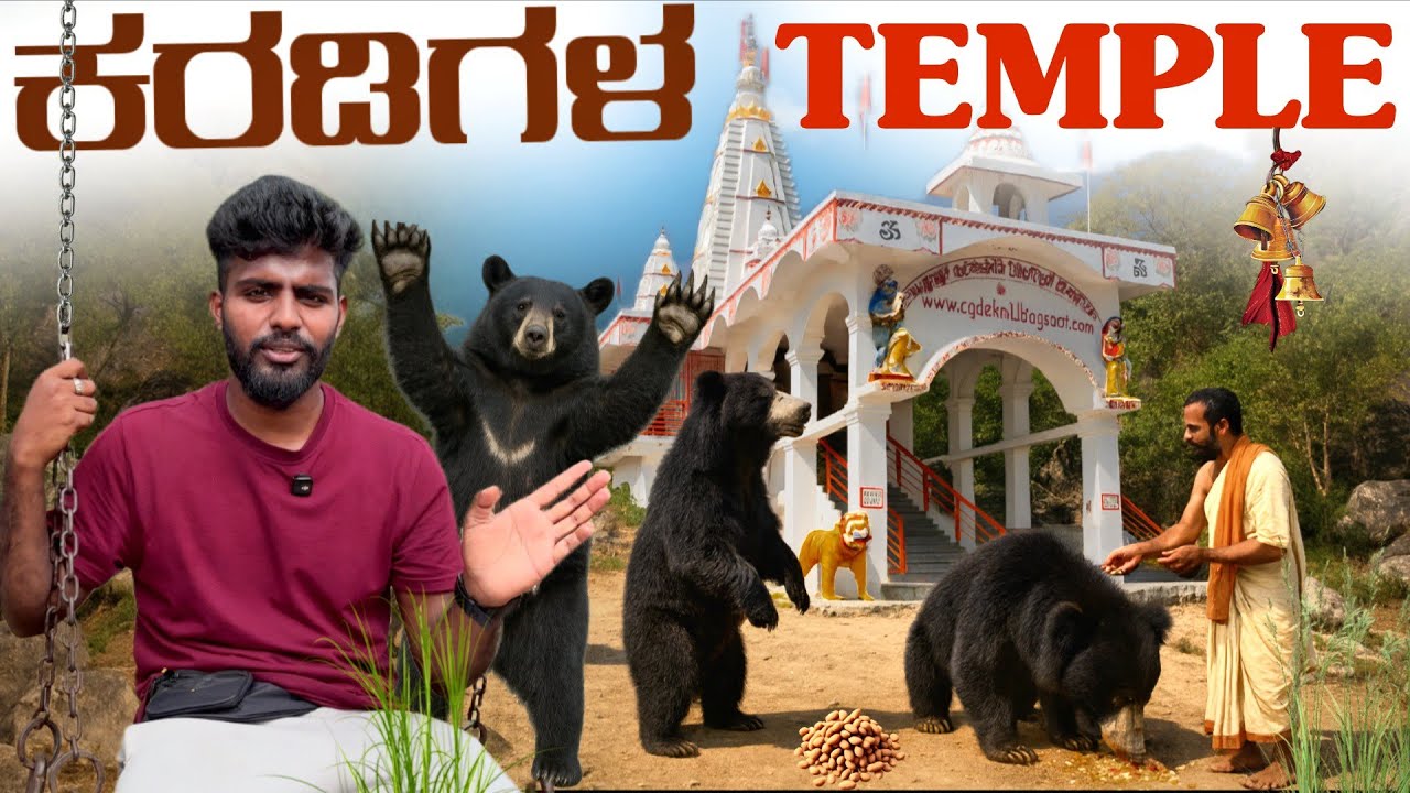 ಭಕ್ತರಂತೆ ಕರಡಿ 🐻 ಪ್ರಸಾದ ತೆಗೆದುಕೊಳ್ಳೋದು 😱 | Chandi Matha Temple Never Seen Before 🐾