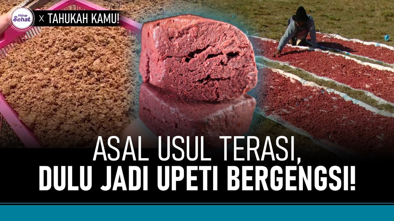 Asal Usul Terasi, Saksi Bisu Sejarah Kerajaan Cirebon | Hidup Sehat tvOne