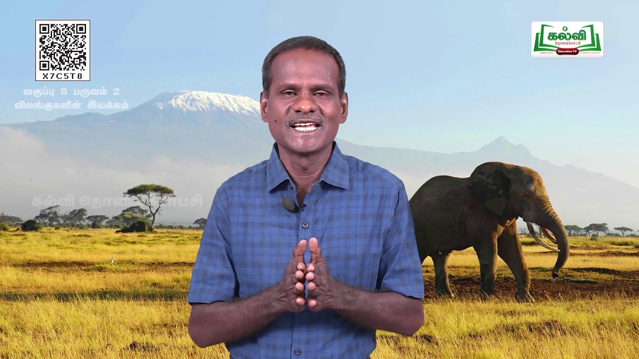 Class 8 | வகுப்பு 8|  அறிவியல் | உயிரியல்  | விலங்குகளின் இயக்கம்   | அலகு 19 | பகுதி 1 | KalviTv