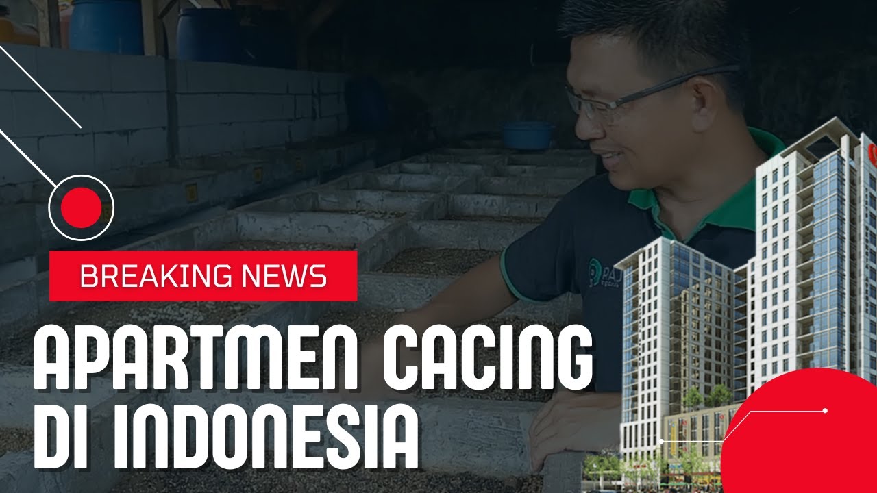APARTEMEN CACING, SOLUSI BUDIDAYA CACING DI LAHAN PERKOTAAN YANG SEMPIT