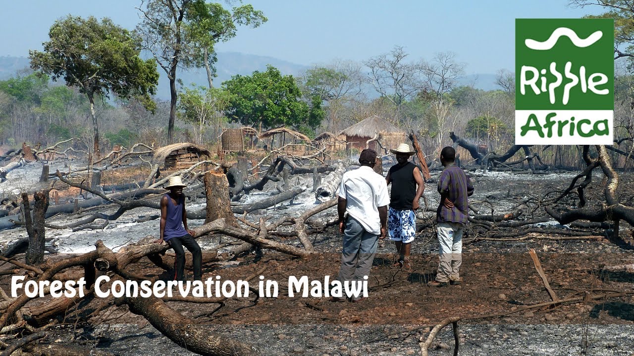 Signing of Bylaws - Forest Conservation  - RIPPLE Africa