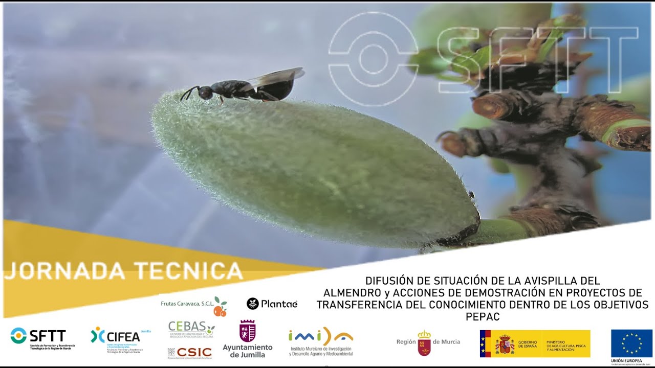 JORNADA SITUACIÓN DE LA AVISPILLA DEL ALMENDRO y PROYECTOS DE TRANSFERENCIA DEL CONOCIMIENTO PEPAC