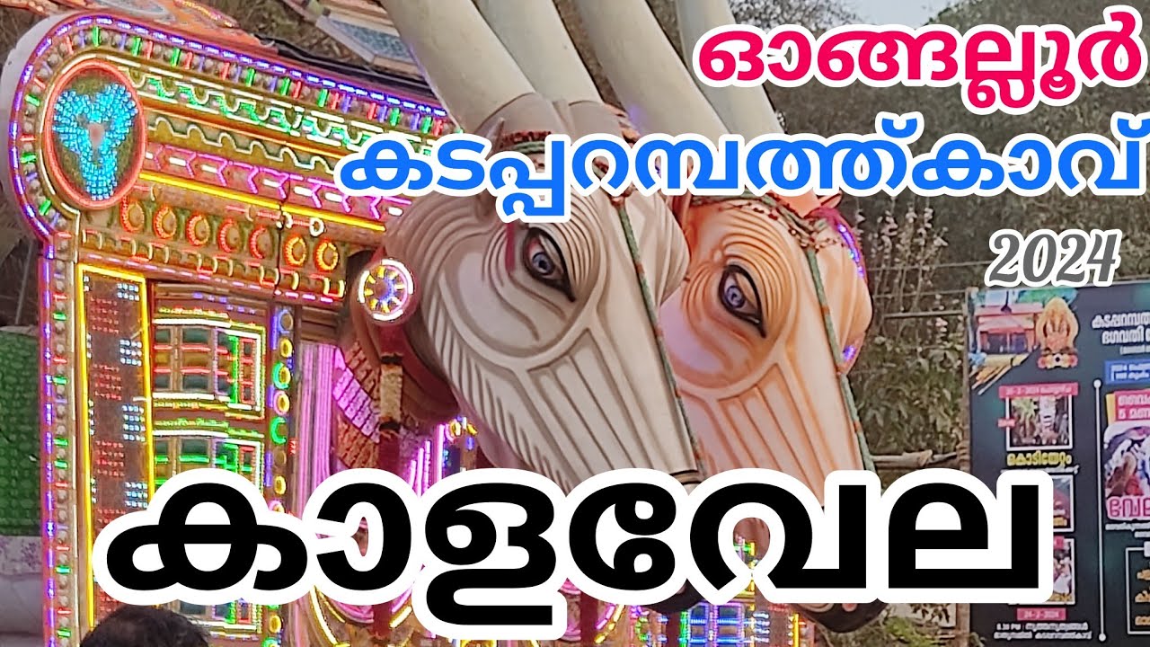 Kadapparambathu Kavu Pooram 2024 | Ongallur Pooram | Pattambi | Palakkad | Kizhayur Desam | കാളവേല