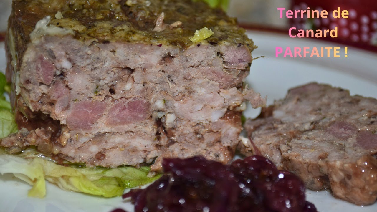 Entrée de Noël Idéale : Terrine aux Aiguillettes de Canard + Oignons Rouges Caramélisés