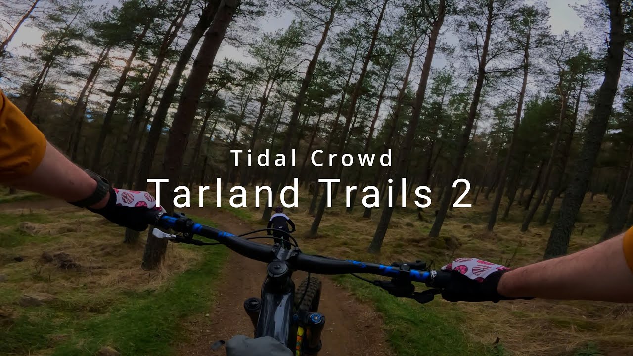 Tidal Crowd, Tarland Trails 2