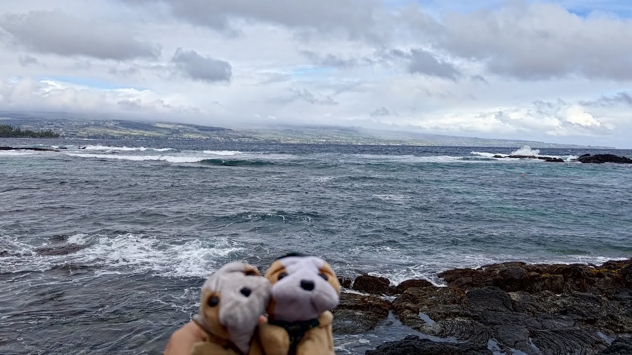 2/17/24 Hilo - Tour to Rainbow Falls, Hawaii Volcanoes National Park