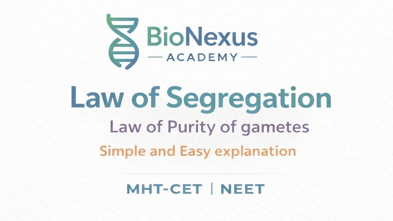 Law of Segregation (Law of Purity of Gametes) | Laws of Inheritance | HSC Biology | MHT-CET | NEET