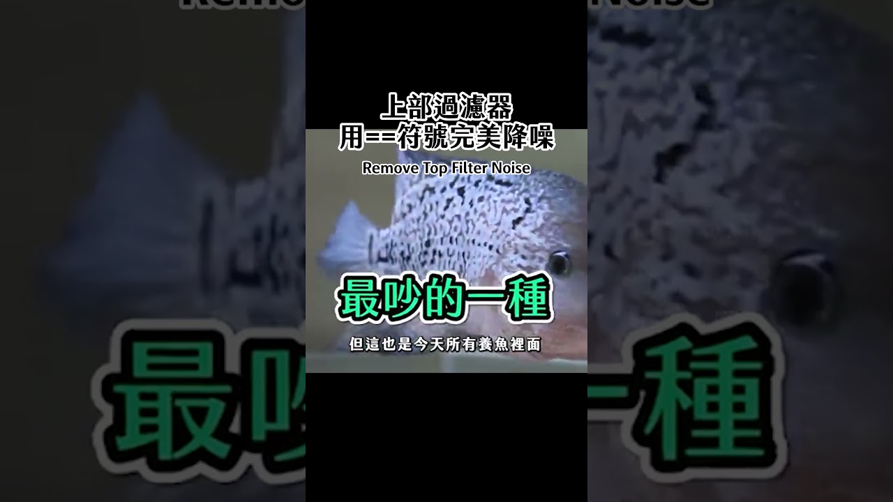 用==符號完美讓最吵的上部過濾器降噪！Make the Noisiest Filter Noise Canceling #shorts #aquarium #fishtank #fish