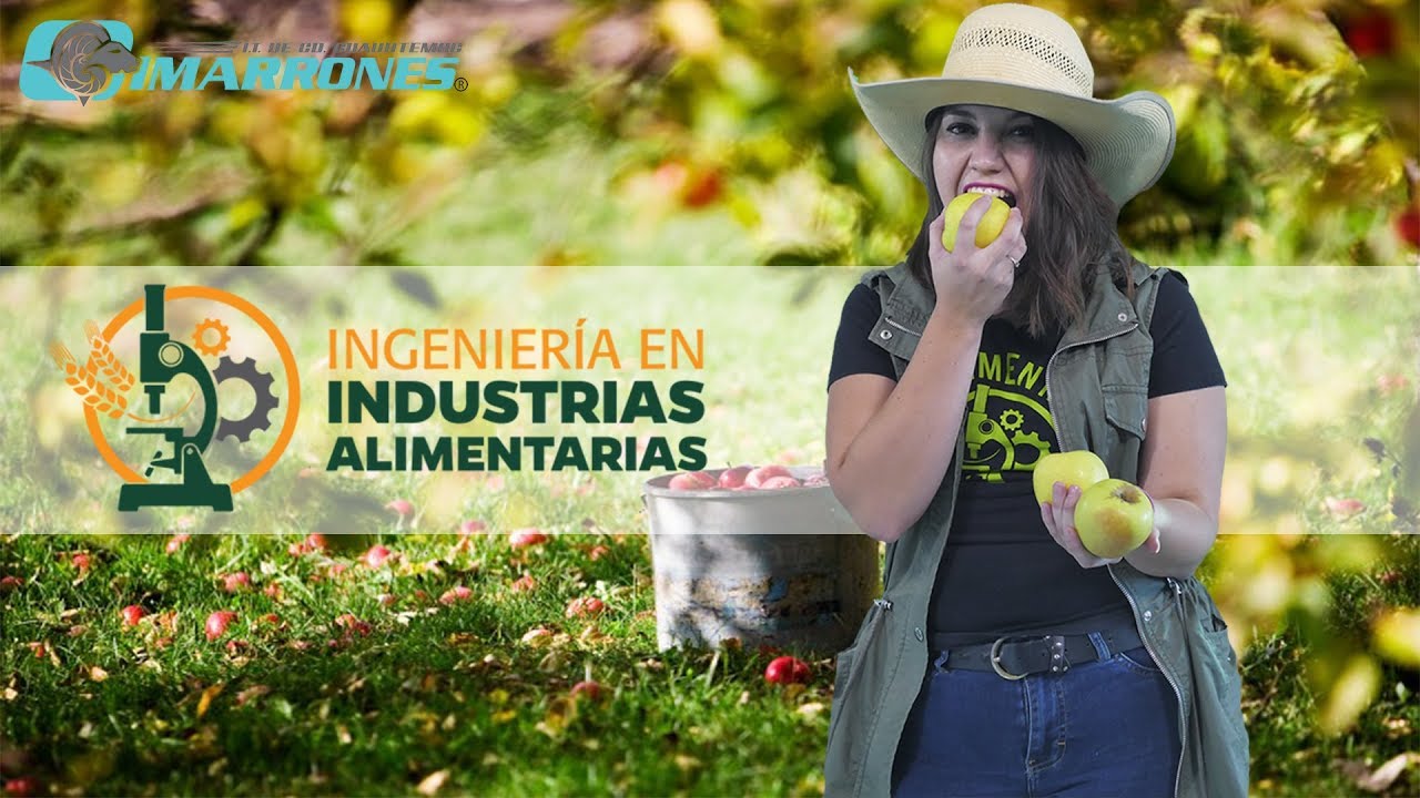 &iquest;Que es la Ing. en Industrias Alimentarias?