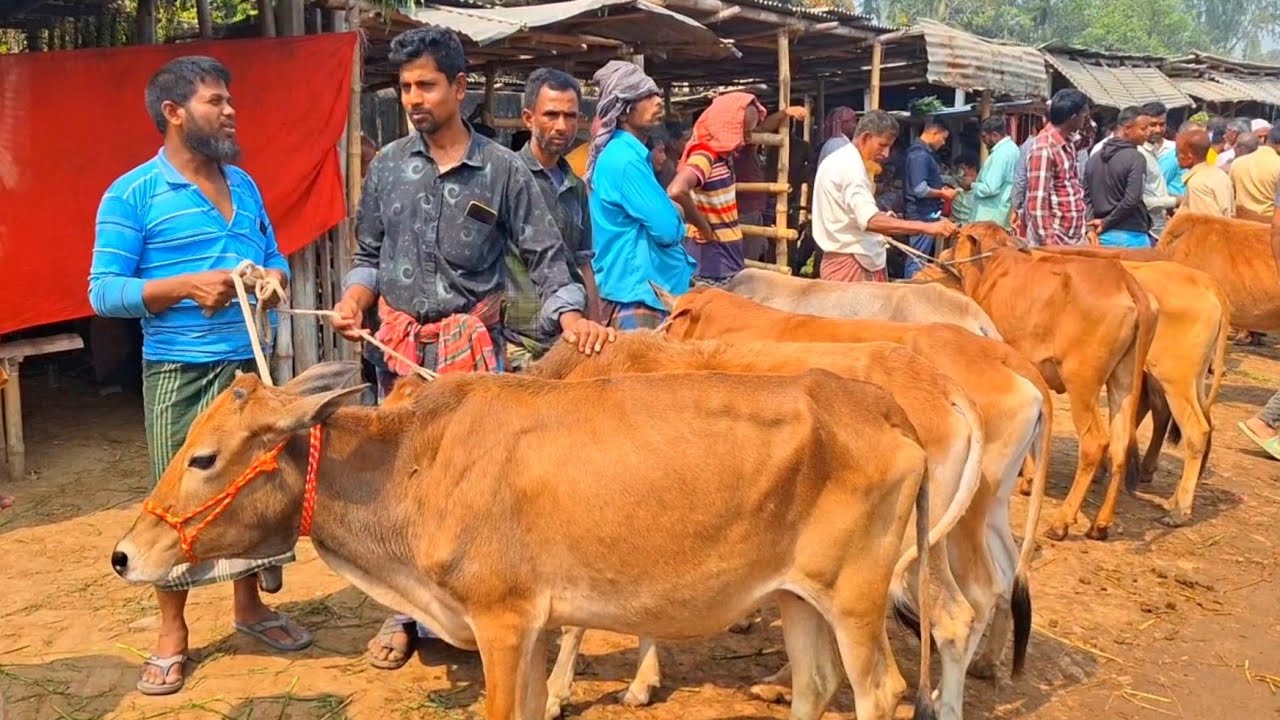 @আজ ৬ মার্চ