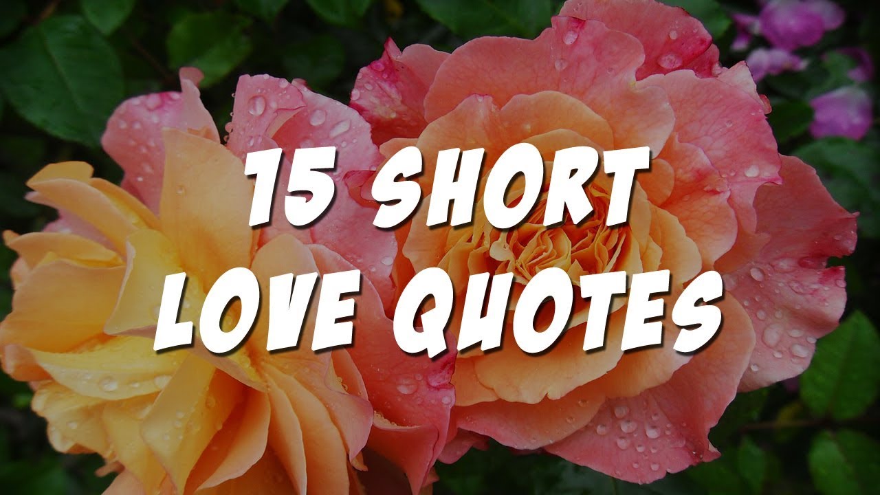 😍 15 short love quotes 😍 for your boyfriend or girlfriend [quotes for couples]