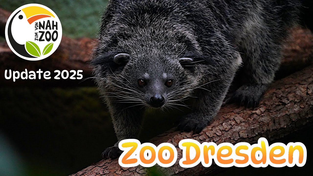 Zoo Dresden Update 2025 - Was hat sich in 2 Jahren getan? Von Nah zum Zoo 4k
