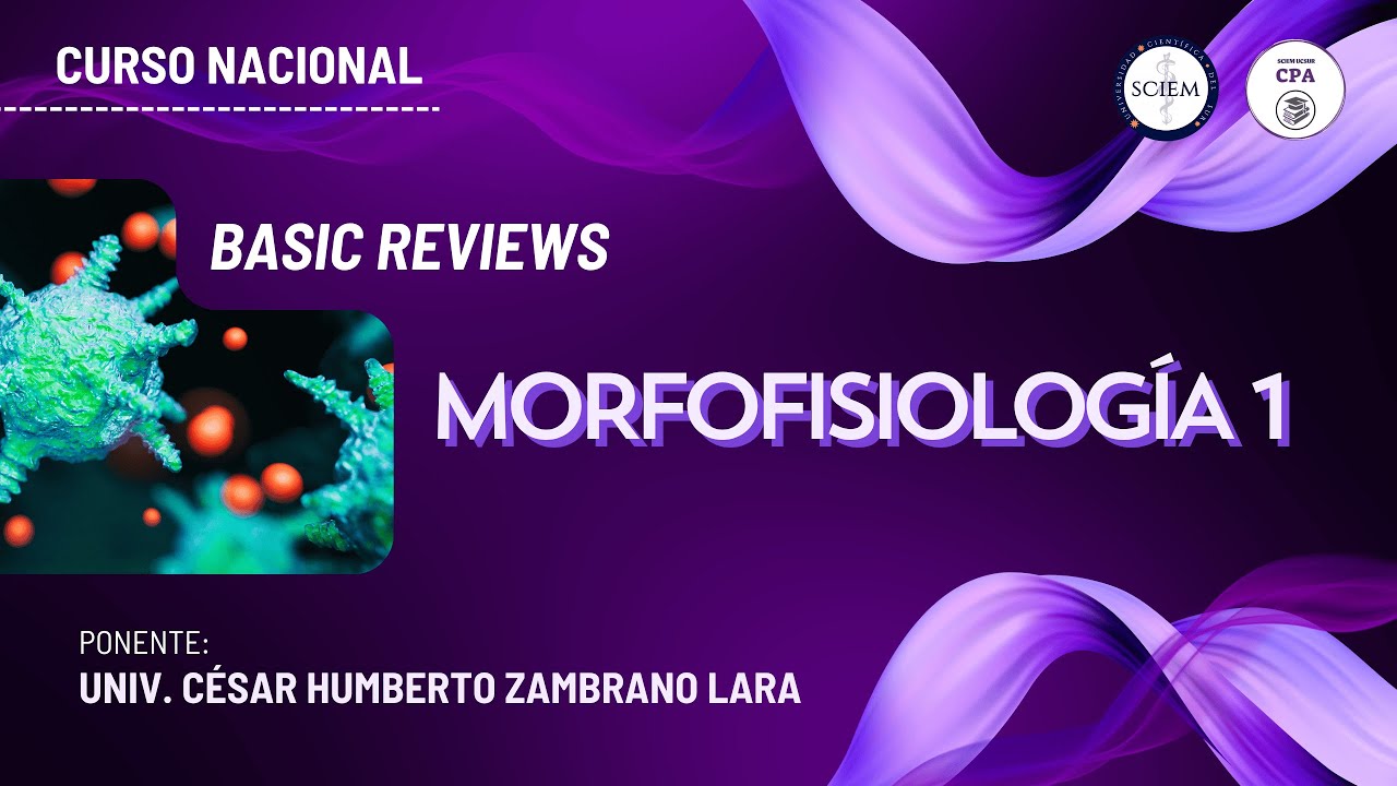BASIC REVIEWS | MORFOFISIOLOG&Iacute;A 1 💜