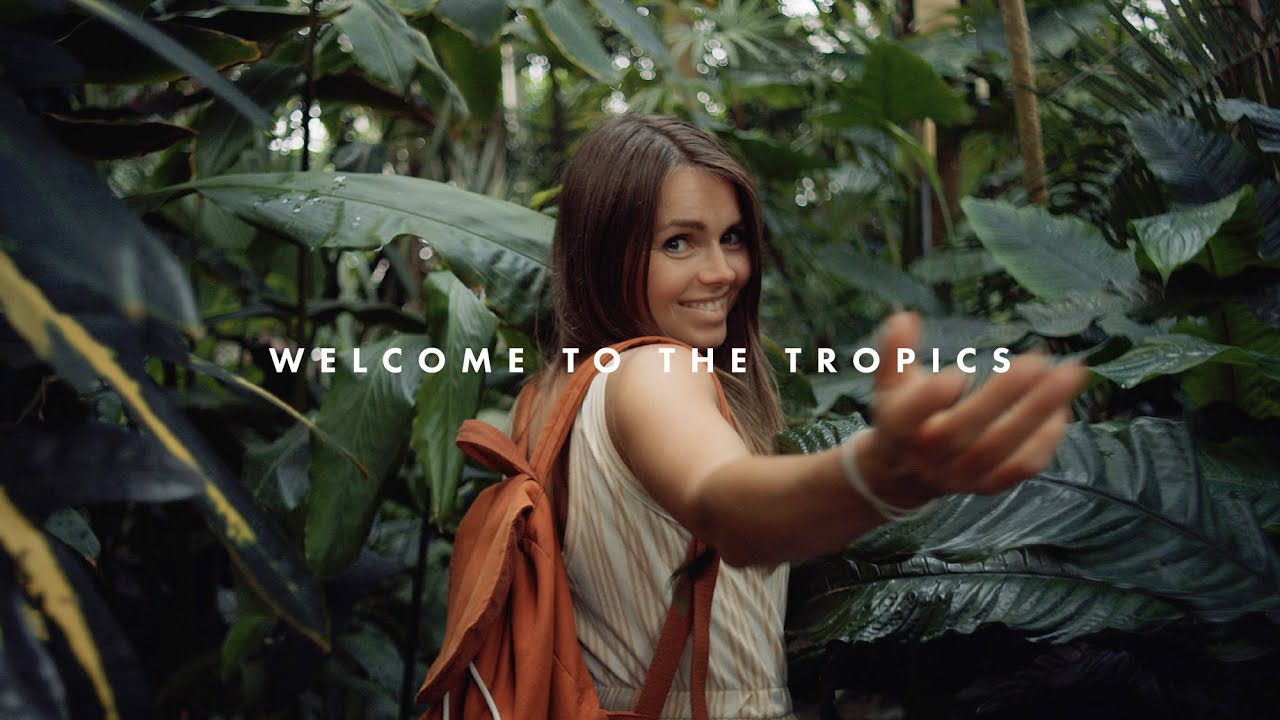 Welcome to the tropics | BMPCC 4k + TTArtisan 40mm Macro (BRAW LUT-22)