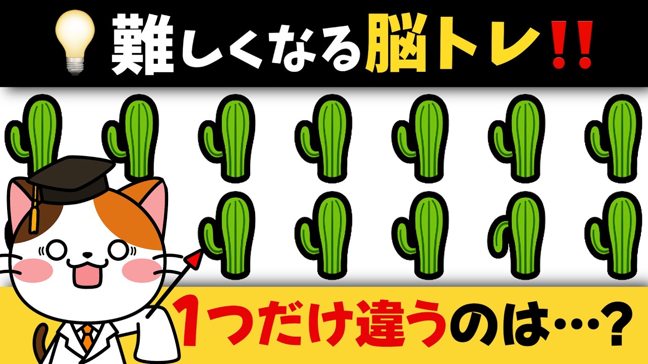 全問探せたらスゴイ！ぐんぐん難しくなる🇲🇽メキシコがテーマの脳トレに挑戦💡