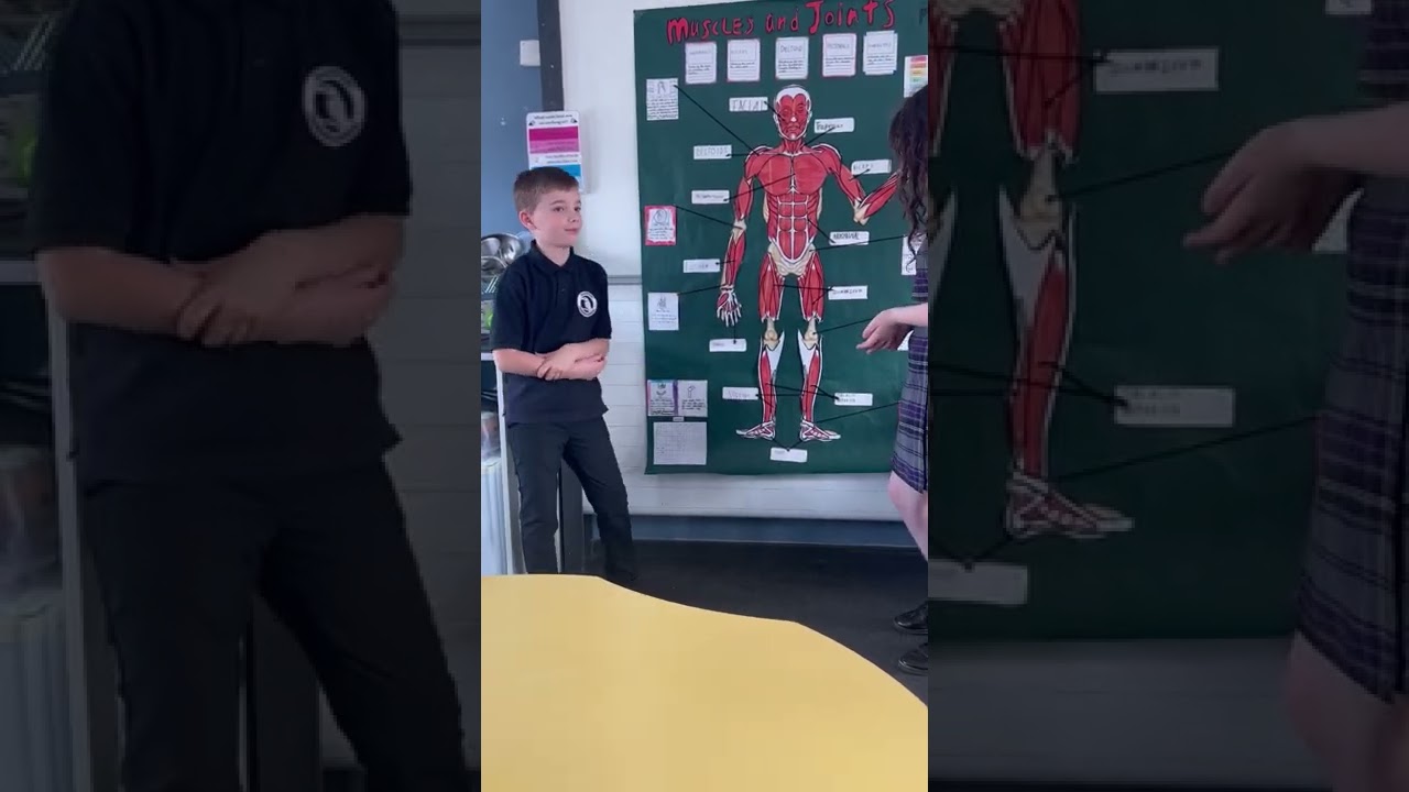 P6b and Muscle and Joints