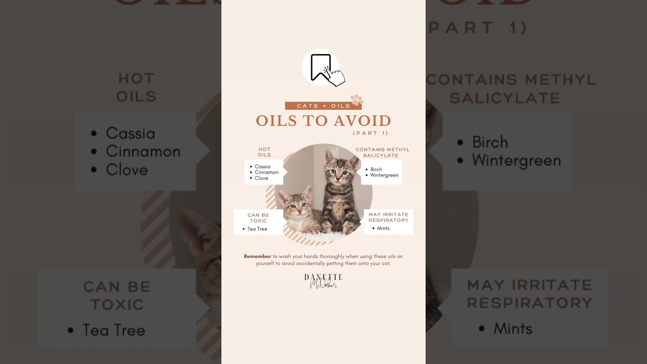 Essential oils to avoid with cats 