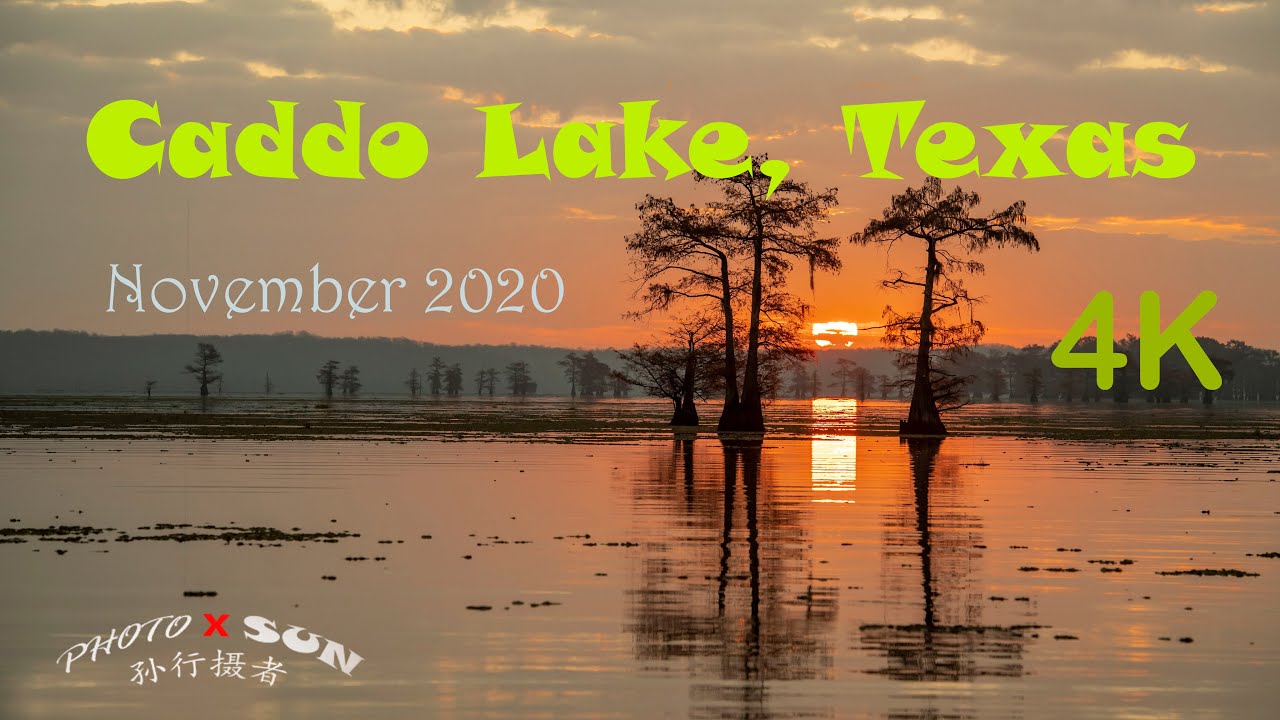 Caddo Lake, Texas // 德州卡多湖