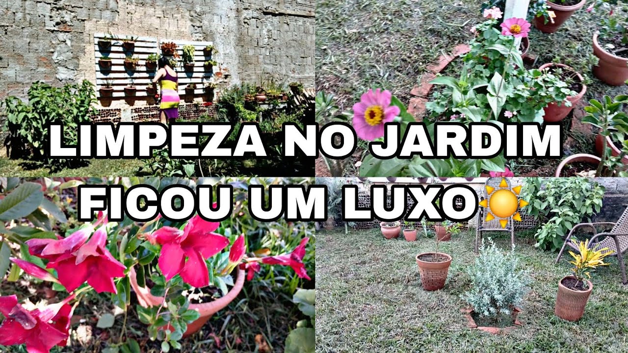 FAXINA NO JARDIM/PODAMOS A GRAMA/FICOU LINDOO ☀️🌹🌱