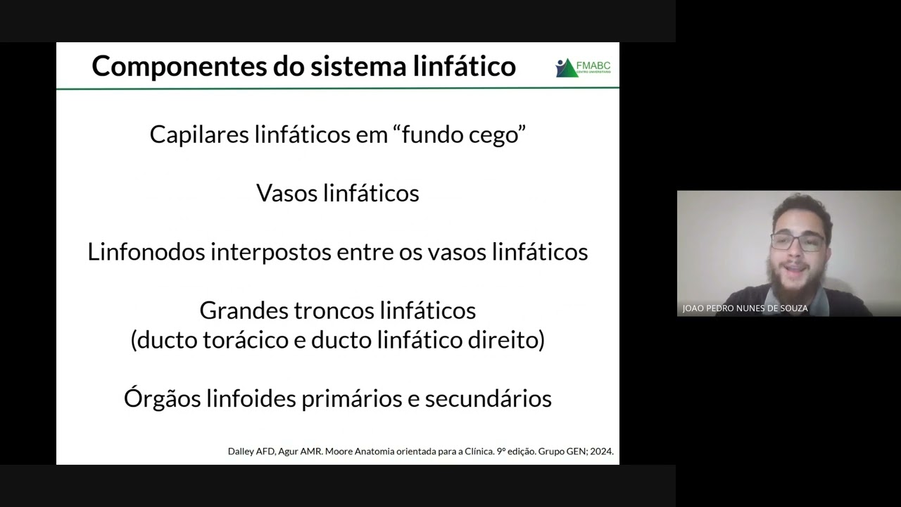 Sistema linfático