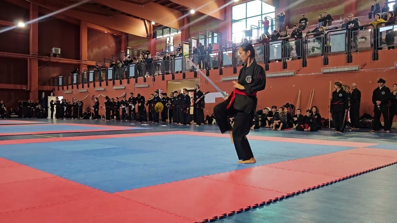 Phale Bao-am duong Kiem. Gare nazionali 2026 Torino