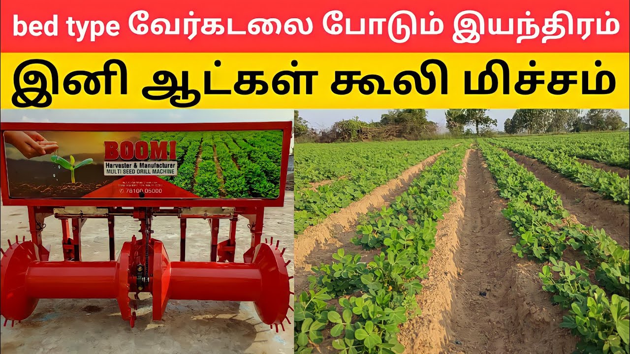 bed type வேர்க்கடலை போடும் இயந்திரம்  Peanut | groundnut harvester machine |kadiri 1812