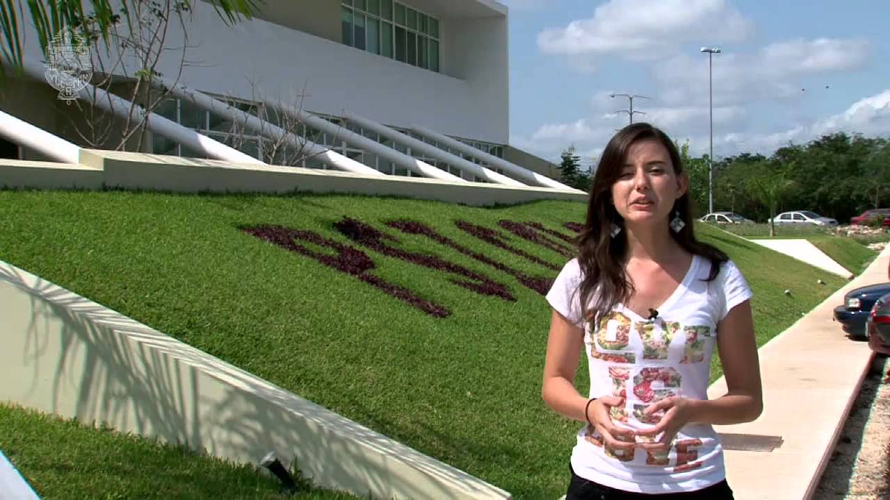 Entrevistas a Estudiantes Extranjeros de la UADY