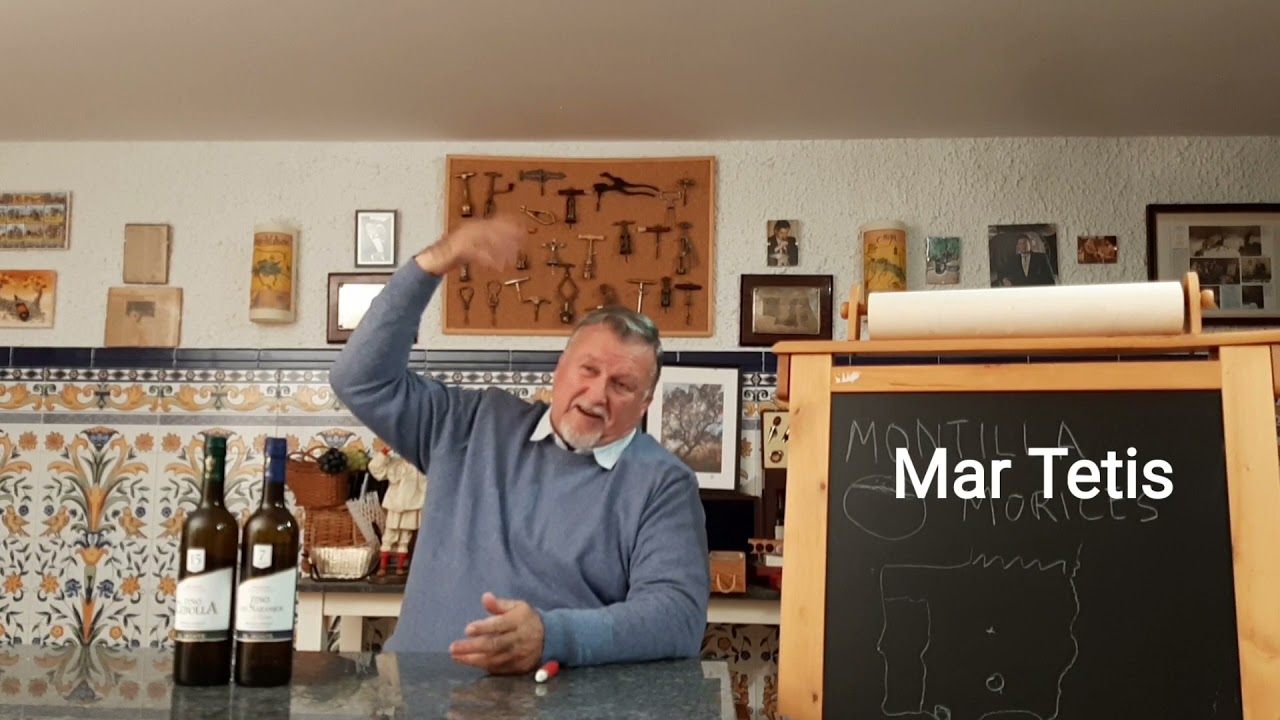 56 - Montilla-Moriles, los grandes ignorados.