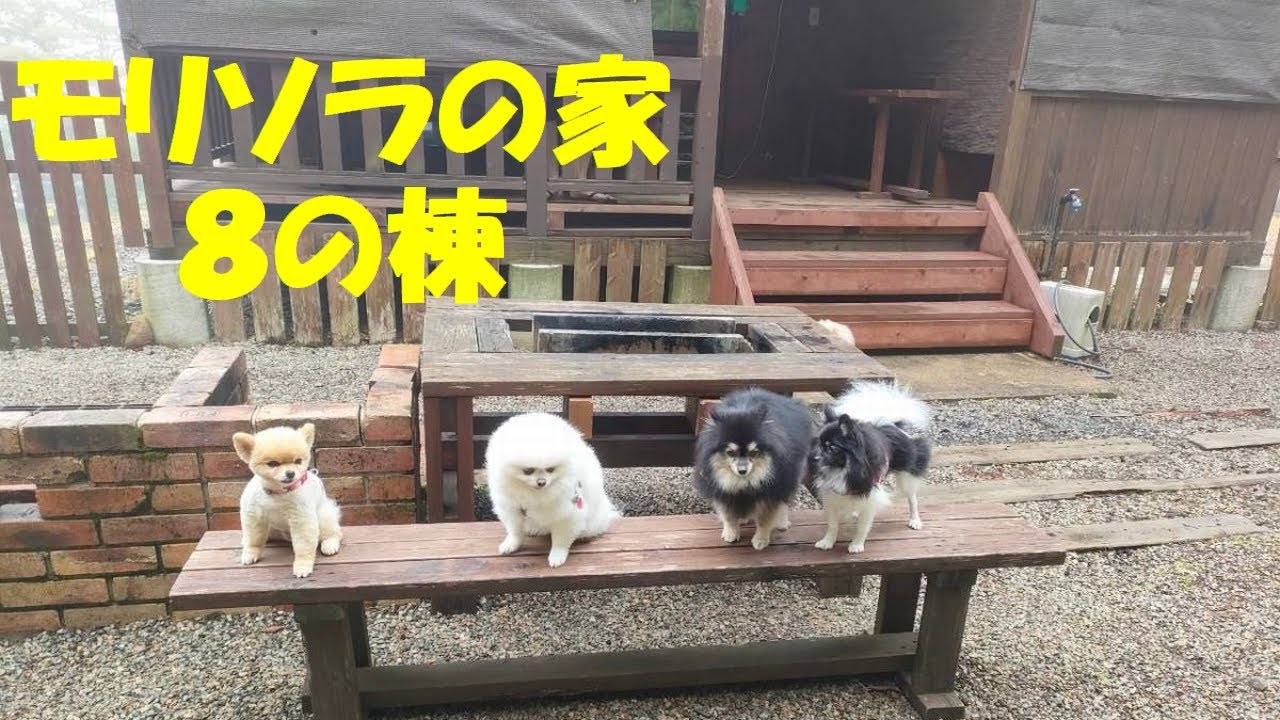 2024 07 14モリソラの家