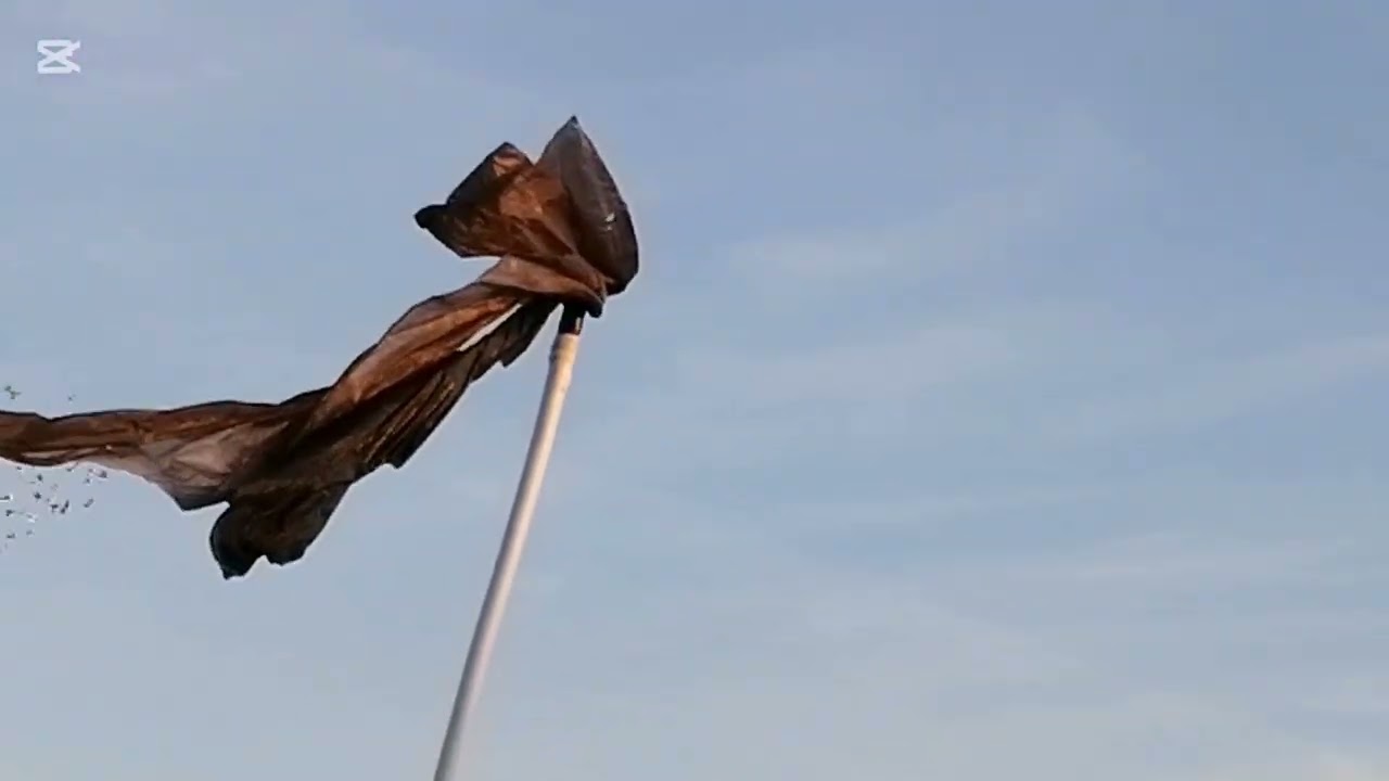  طلعنا الحمام موعد  وتحسنت  أكثير  بل مطار الله يبارك 💥♥️