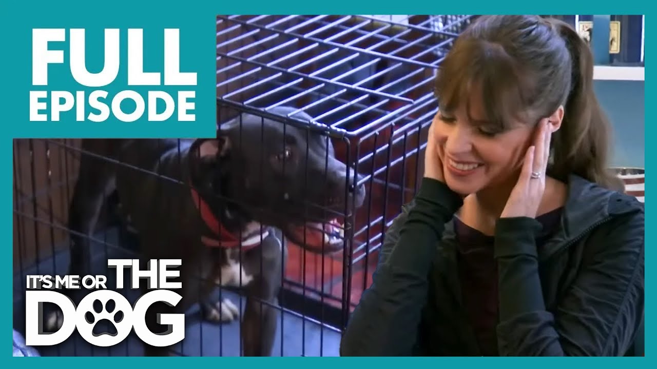 Husband's Hearing Loss From Non-Stop Barking Dogs! | Full Episode | It's Me or The Dog