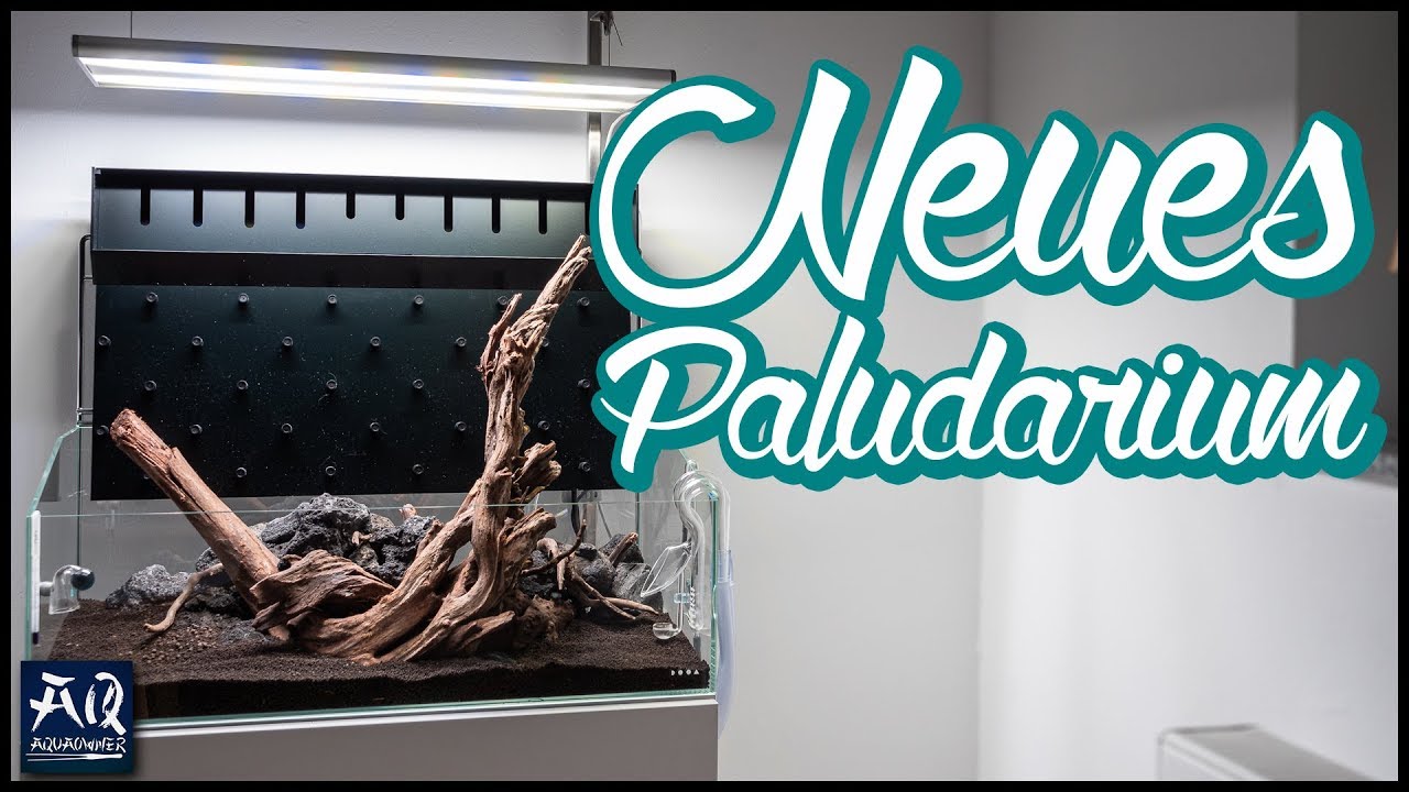 Das geheime Paludarium | AquaOwner